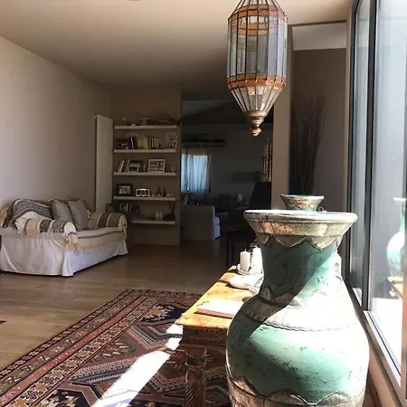 别墅 La Di Alice 切尔韦泰里